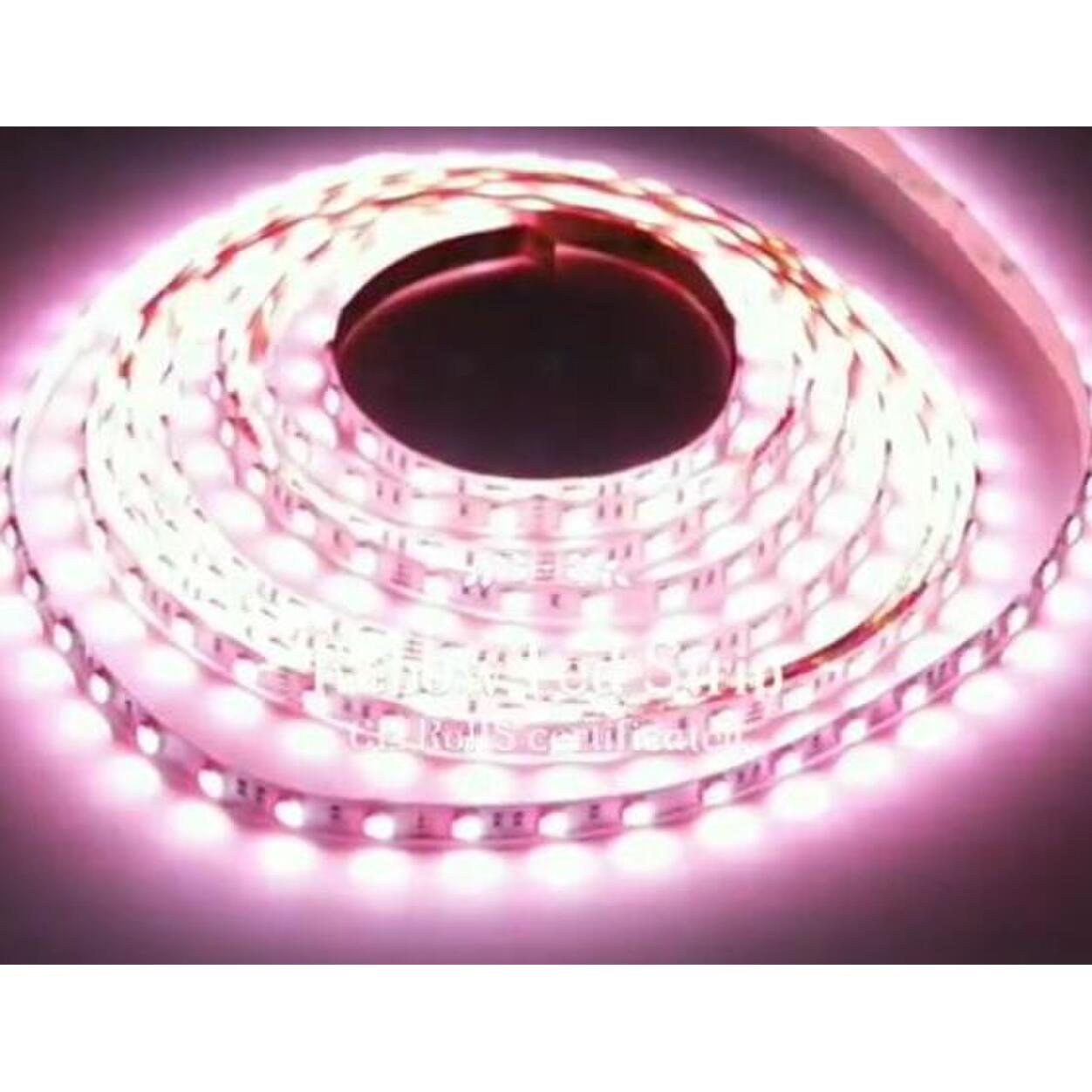 Fresh Food Light LED-Strip 24V 14,4W/m